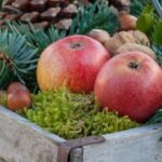 Best Fruits and Vegetables for this Winter