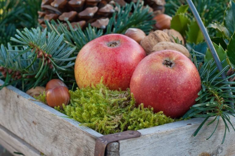 Best Fruits and Vegetables for this Winter