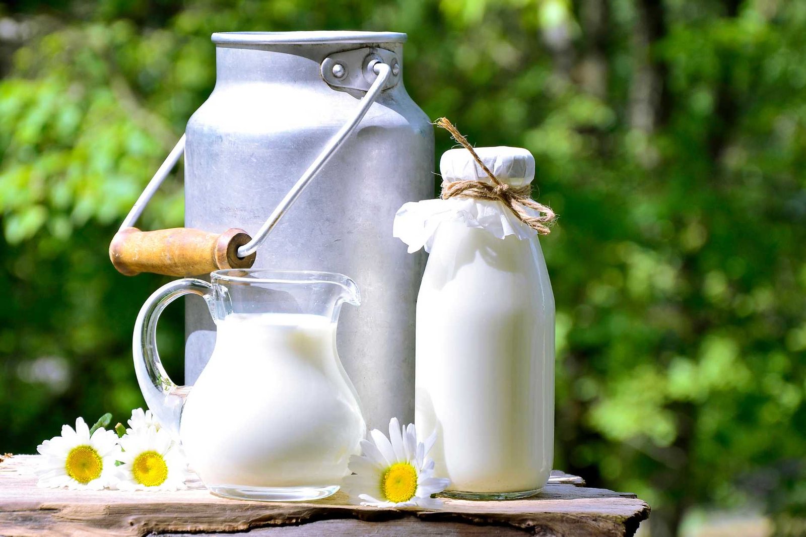 The Benefits of Drinking Raw Milk vs. Pasteurized Milk