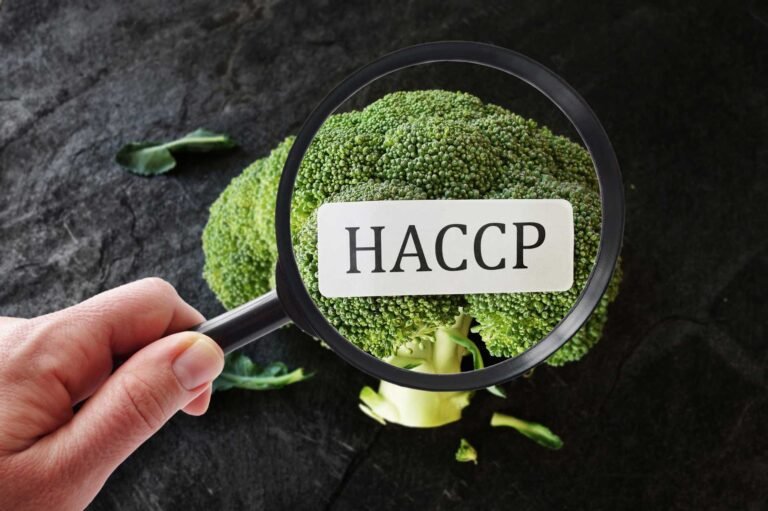 Which Food Safety System is better for your company – HACCP or ISO 22000:2018?