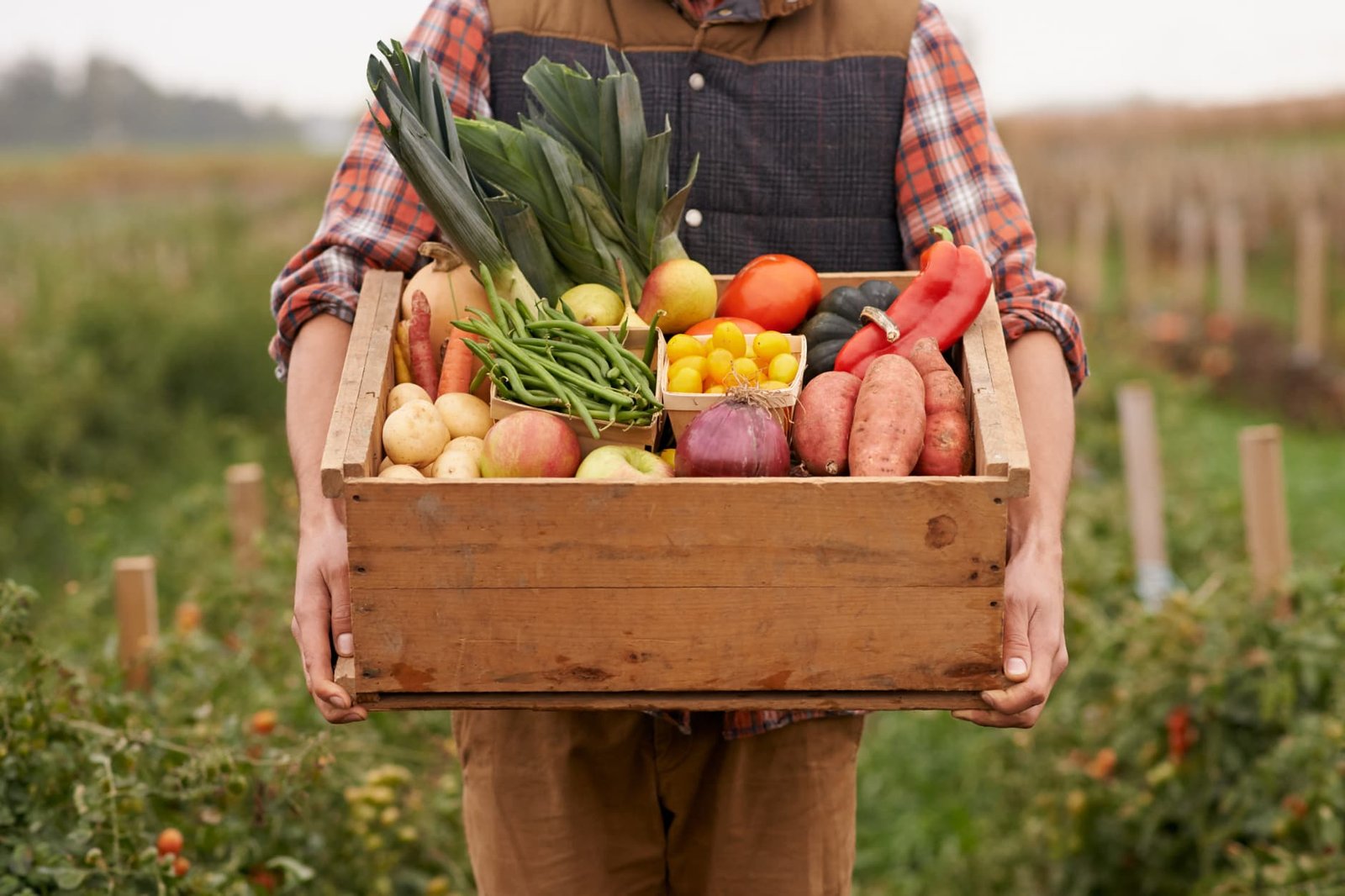 Farmer woman with a crate of fresh vegetables